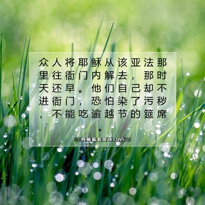 Picture 07 - 约 翰 福 音 18:28 CUVS - 众 人 将 耶 稣 从 该 亚 法 那 里 往 - Bible Verse Picture