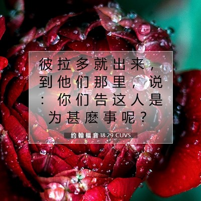 Picture 07 - 约 翰 福 音 18:29 CUVS - 彼 拉 多 就 出 来 ， 到 他 们 那 里 - Bible Verse Picture
