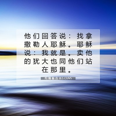 Picture 07 - 约 翰 福 音 18:5 CUVS - 他 们 回 答 说 ： 找 拿 撒 勒 人 耶 - Bible Verse Picture