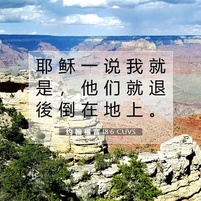 Picture 07 - 约 翰 福 音 18:6 CUVS - 耶 稣 一 说 我 就 是 ， 他 们 就 退 - Bible Verse Picture