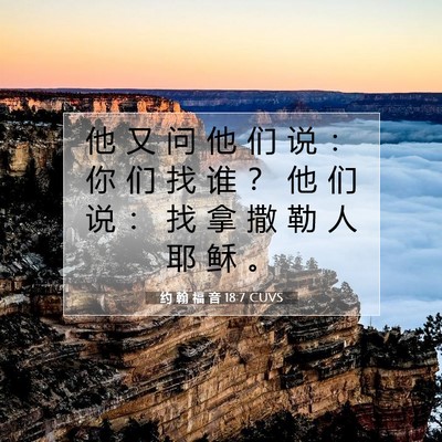 Picture 07 - 约 翰 福 音 18:7 CUVS - 他 又 问 他 们 说 ： 你 们 找 谁 ？ - Bible Verse Picture