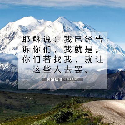 Picture 07 - 约 翰 福 音 18:8 CUVS - 耶 稣 说 ： 我 已 经 告 诉 你 们 ， - Bible Verse Picture