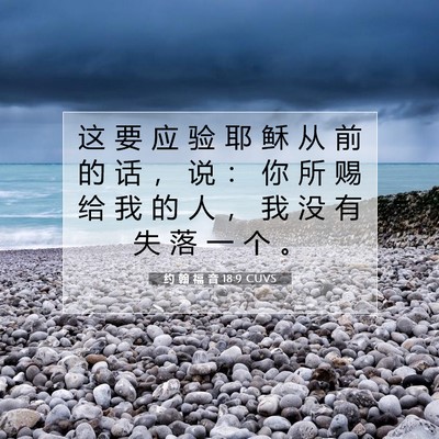 Picture 07 - 约 翰 福 音 18:9 CUVS - 这 要 应 验 耶 稣 从 前 的 话 ， 说 - Bible Verse Picture
