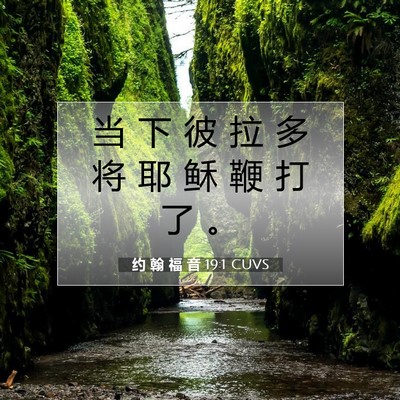 Picture 07 - 约 翰 福 音 19:1 CUVS - 当 下 彼 拉 多 将 耶 稣 鞭 打 了 - Bible Verse Picture