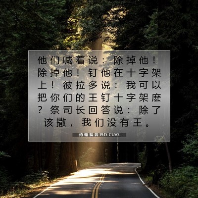 Picture 07 - 约 翰 福 音 19:15 CUVS - 他 们 喊 着 说 ： 除 掉 他 ！ 除 掉 - Bible Verse Picture