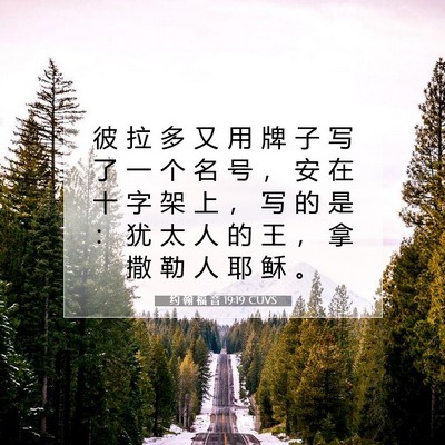 Picture 07 - 约 翰 福 音 19:19 CUVS - 彼 拉 多 又 用 牌 子 写 了 一 个 名 - Bible Verse Picture