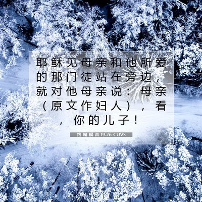 Picture 07 - 约 翰 福 音 19:26 CUVS - 耶 稣 见 母 亲 和 他 所 爱 的 那 门 - Bible Verse Picture