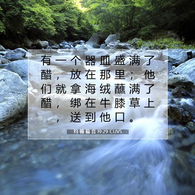 Picture 07 - 约 翰 福 音 19:29 CUVS - 有 一 个 器 皿 盛 满 了 醋 ， 放 在 - Bible Verse Picture