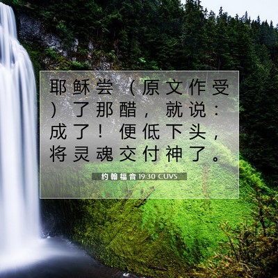 Picture 07 - 约 翰 福 音 19:30 CUVS - 耶 稣 尝 （ 原 文 作 受 ） 了 那 醋 - Bible Verse Picture