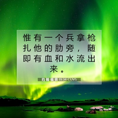 Picture 07 - 约 翰 福 音 19:34 CUVS - 惟 有 一 个 兵 拿 枪 扎 他 的 肋 旁 - Bible Verse Picture