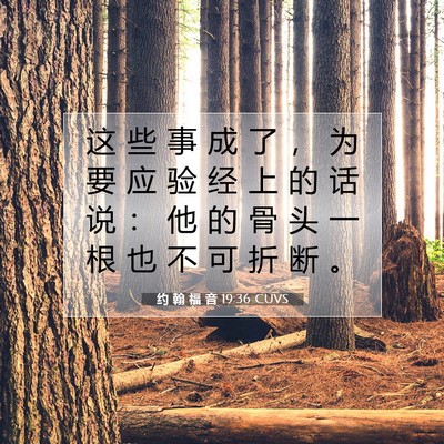 Picture 07 - 约 翰 福 音 19:36 CUVS - 这 些 事 成 了 ， 为 要 应 验 经 上 - Bible Verse Picture
