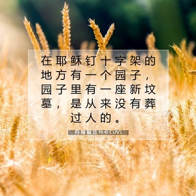 Picture 07 - 约 翰 福 音 19:41 CUVS - 在 耶 稣 钉 十 字 架 的 地 方 有 一 - Bible Verse Picture