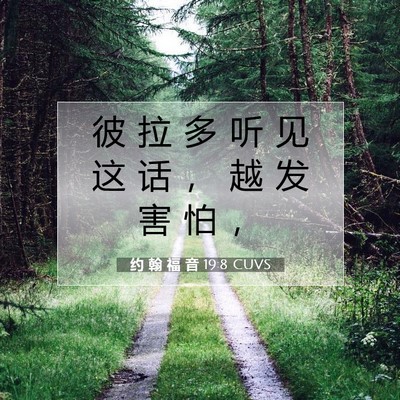 Picture 07 - 约 翰 福 音 19:8 CUVS - 彼 拉 多 听 见 这 话 ， 越 发 害 怕 - Bible Verse Picture