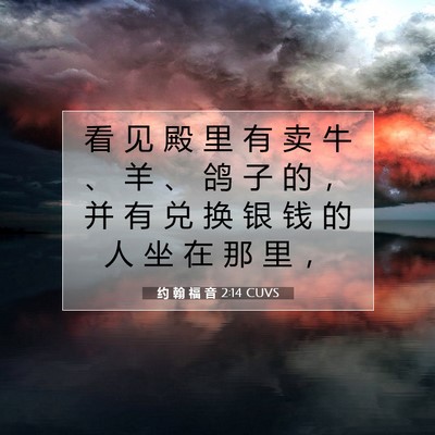 Picture 07 - 约 翰 福 音 2:14 CUVS - 看 见 殿 里 有 卖 牛 、 羊 、 鸽 子 - Bible Verse Picture