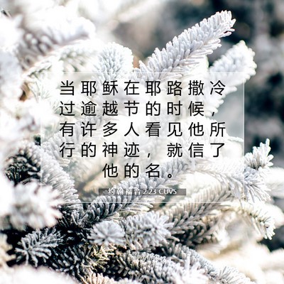 Picture 07 - 约 翰 福 音 2:23 CUVS - 当 耶 稣 在 耶 路 撒 冷 过 逾 越 节 - Bible Verse Picture