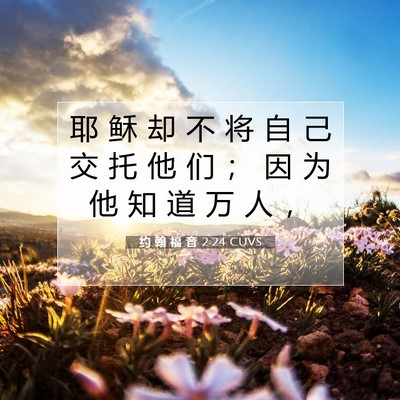Picture 07 - 约 翰 福 音 2:24 CUVS - 耶 稣 却 不 将 自 己 交 托 他 们 ； - Bible Verse Picture