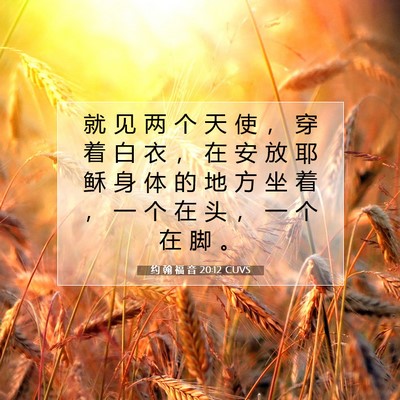 Picture 07 - 约 翰 福 音 20:12 CUVS - 就 见 两 个 天 使 ， 穿 着 白 衣 ， - Bible Verse Picture