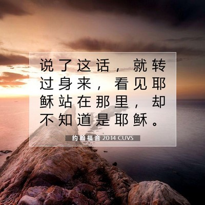 Picture 07 - 约 翰 福 音 20:14 CUVS - 说 了 这 话 ， 就 转 过 身 来 ， 看 - Bible Verse Picture