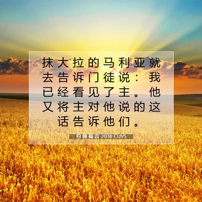 Picture 07 - 约 翰 福 音 20:18 CUVS - 抹 大 拉 的 马 利 亚 就 去 告 诉 门 - Bible Verse Picture