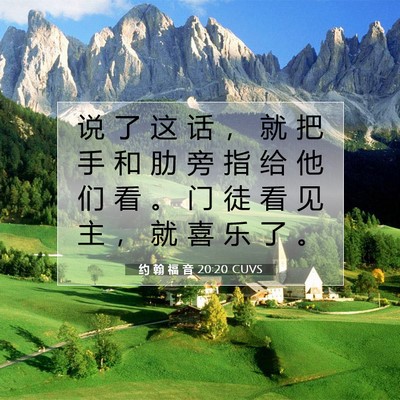 Picture 07 - 约 翰 福 音 20:20 CUVS - 说 了 这 话 ， 就 把 手 和 肋 旁 指 - Bible Verse Picture