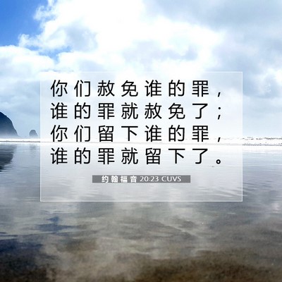 Picture 07 - 约 翰 福 音 20:23 CUVS - 你 们 赦 免 谁 的 罪 ， 谁 的 罪 就 - Bible Verse Picture