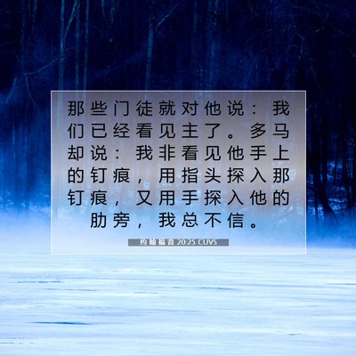 Picture 07 - 约 翰 福 音 20:25 CUVS - 那 些 门 徒 就 对 他 说 ： 我 们 已 - Bible Verse Picture