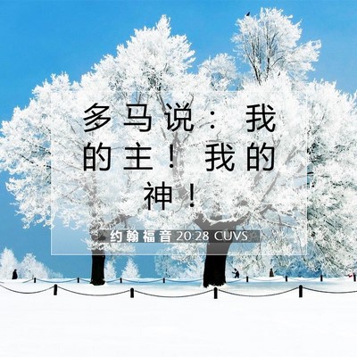 Picture 07 - 约 翰 福 音 20:28 CUVS - 多 马 说 ： 我 的 主 ！ 我 的 神 - Bible Verse Picture