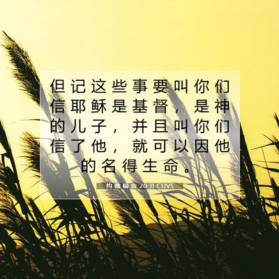 Picture 07 - 约 翰 福 音 20:31 CUVS - 但 记 这 些 事 要 叫 你 们 信 耶 稣 - Bible Verse Picture