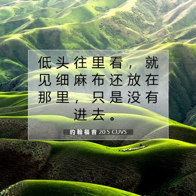 Picture 07 - 约 翰 福 音 20:5 CUVS - 低 头 往 里 看 ， 就 见 细 麻 布 还 - Bible Verse Picture