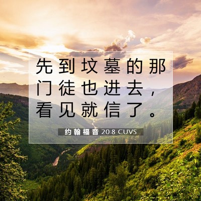 Picture 07 - 约 翰 福 音 20:8 CUVS - 先 到 坟 墓 的 那 门 徒 也 进 去 ， - Bible Verse Picture