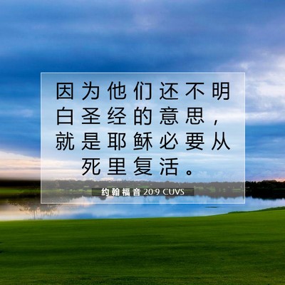 Picture 07 - 约 翰 福 音 20:9 CUVS - 因 为 他 们 还 不 明 白 圣 经 的 意 - Bible Verse Picture
