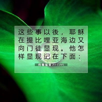 Picture 07 - 约 翰 福 音 21:1 CUVS - 这 些 事 以 後 ， 耶 稣 在 提 比 哩 - Bible Verse Picture