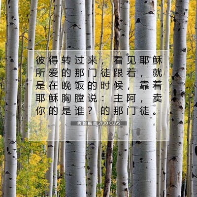 Picture 07 - 约 翰 福 音 21:20 CUVS - 彼 得 转 过 来 ， 看 见 耶 稣 所 爱 - Bible Verse Picture