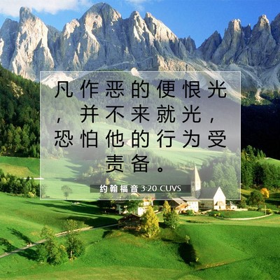Picture 07 - 约 翰 福 音 3:20 CUVS - 凡 作 恶 的 便 恨 光 ， 并 不 来 就 - Bible Verse Picture