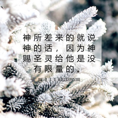 Picture 07 - 约 翰 福 音 3:34 CUVS - 神 所 差 来 的 就 说 神 的 话 ， 因 - Bible Verse Picture