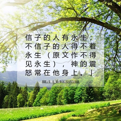 Picture 07 - 约 翰 福 音 3:36 CUVS - 信 子 的 人 有 永 生 ； 不 信 子 的 - Bible Verse Picture