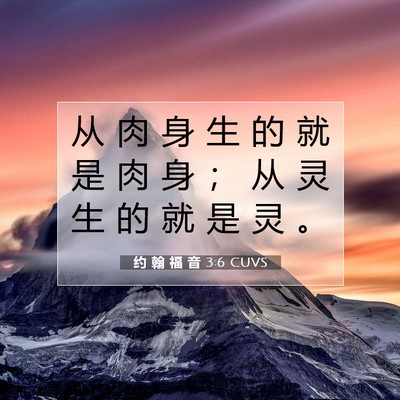 Picture 07 - 约 翰 福 音 3:6 CUVS - 从 肉 身 生 的 就 是 肉 身 ； 从 灵 - Bible Verse Picture
