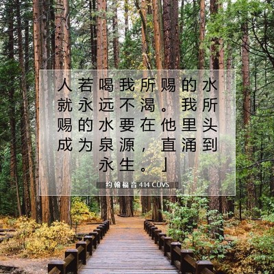 Picture 07 - 约 翰 福 音 4:14 CUVS - 人 若 喝 我 所 赐 的 水 就 永 远 不 - Bible Verse Picture