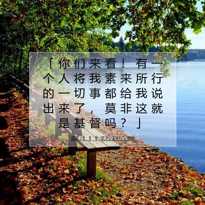 Picture 07 - 约 翰 福 音 4:29 CUVS - 「 你 们 来 看 ！ 有 一 个 人 将 我 - Bible Verse Picture