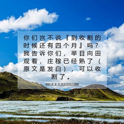 Picture 07 - 约 翰 福 音 4:35 CUVS - 你 们 岂 不 说 『 到 收 割 的 时 候 - Bible Verse Picture