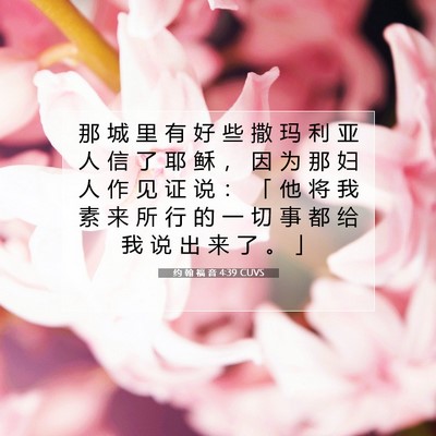 Picture 07 - 约 翰 福 音 4:39 CUVS - 那 城 里 有 好 些 撒 玛 利 亚 人 信 - Bible Verse Picture