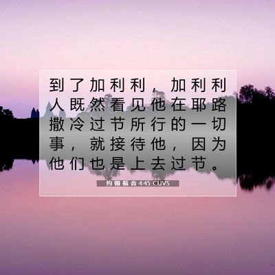Picture 07 - 约 翰 福 音 4:45 CUVS - 到 了 加 利 利 ， 加 利 利 人 既 然 - Bible Verse Picture