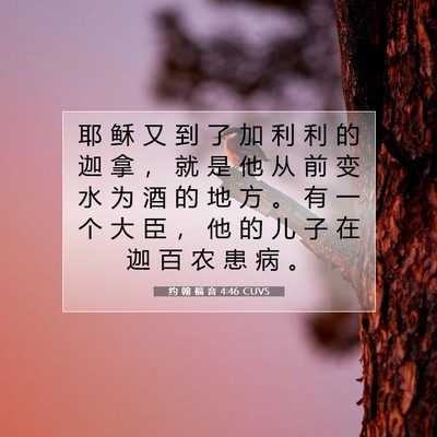 Picture 07 - 约 翰 福 音 4:46 CUVS - 耶 稣 又 到 了 加 利 利 的 迦 拿 ， - Bible Verse Picture
