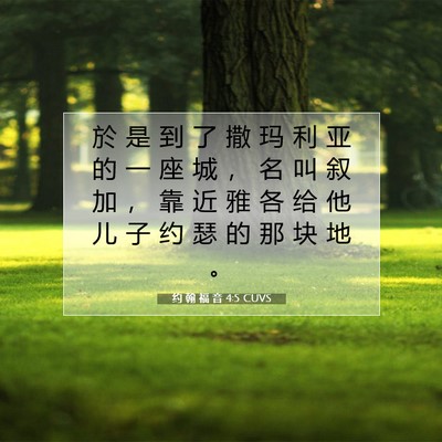Picture 07 - 约 翰 福 音 4:5 CUVS - 於 是 到 了 撒 玛 利 亚 的 一 座 城 - Bible Verse Picture