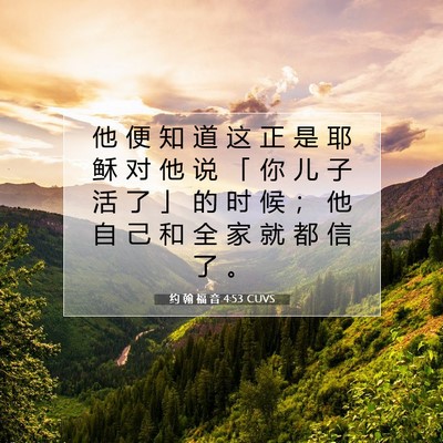 Picture 07 - 约 翰 福 音 4:53 CUVS - 他 便 知 道 这 正 是 耶 稣 对 他 说 - Bible Verse Picture