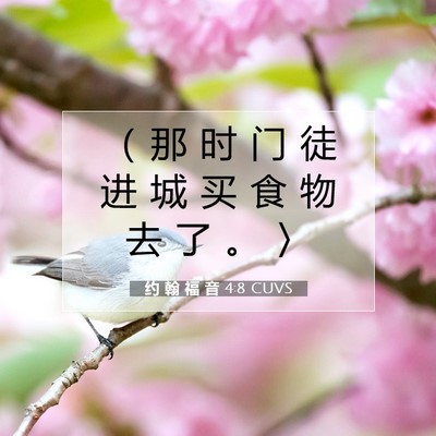 Picture 07 - 约 翰 福 音 4:8 CUVS - （ 那 时 门 徒 进 城 买 食 物 去 了 - Bible Verse Picture