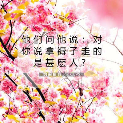 Picture 07 - 约 翰 福 音 5:12 CUVS - 他 们 问 他 说 ： 对 你 说 拿 褥 子 - Bible Verse Picture