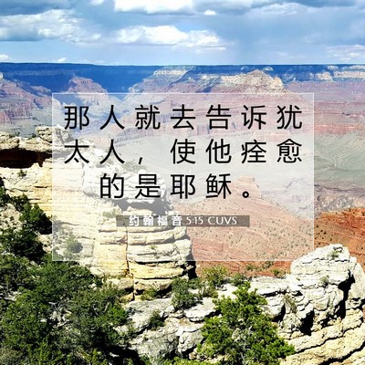 Picture 07 - 约 翰 福 音 5:15 CUVS - 那 人 就 去 告 诉 犹 太 人 ， 使 他 - Bible Verse Picture