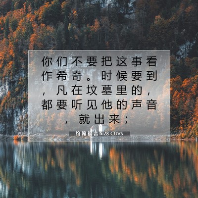 Picture 07 - 约 翰 福 音 5:28 CUVS - 你 们 不 要 把 这 事 看 作 希 奇 。 - Bible Verse Picture