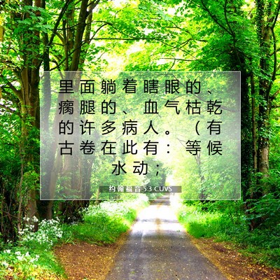 Picture 07 - 约 翰 福 音 5:3 CUVS - 里 面 躺 着 瞎 眼 的 、 瘸 腿 的 、 - Bible Verse Picture
